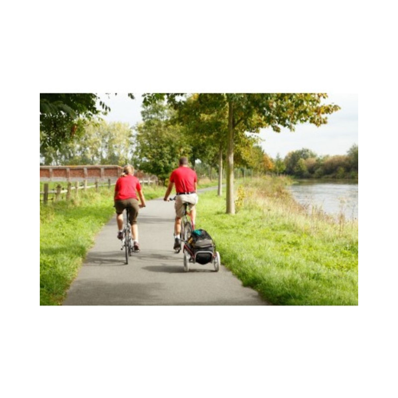 Chariot de Remorque pour Vélo - Mottez A710P