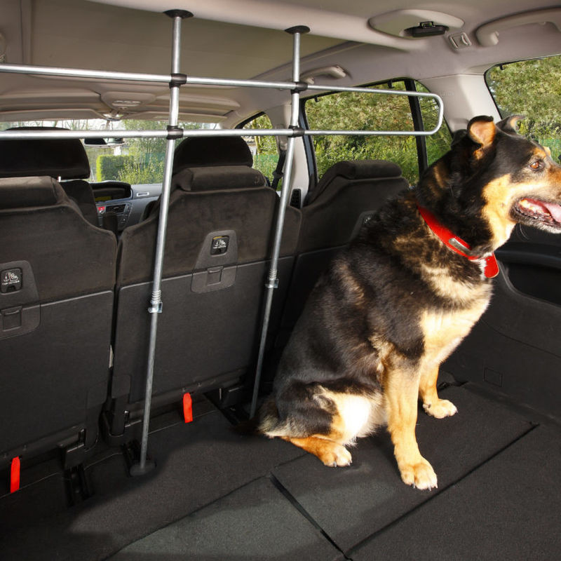 Cloison de séparation pour chein - Mottez A056P